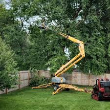 Best Tree Health Inspection  in Union, NJ