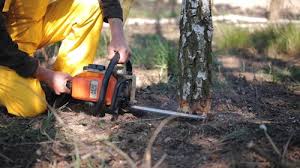 Best Lawn Drainage Solutions  in Union, NJ