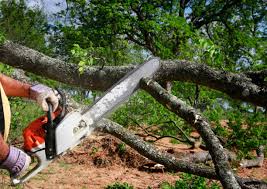 Best Soil Testing and Treatment  in Union, NJ