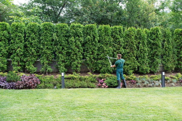 Best Commercial Tree Services  in Union, NJ