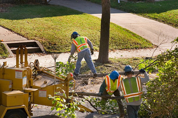 Best Lawn Watering Services  in Union, NJ